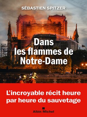 cover image of Dans les flammes de Notre-Dame